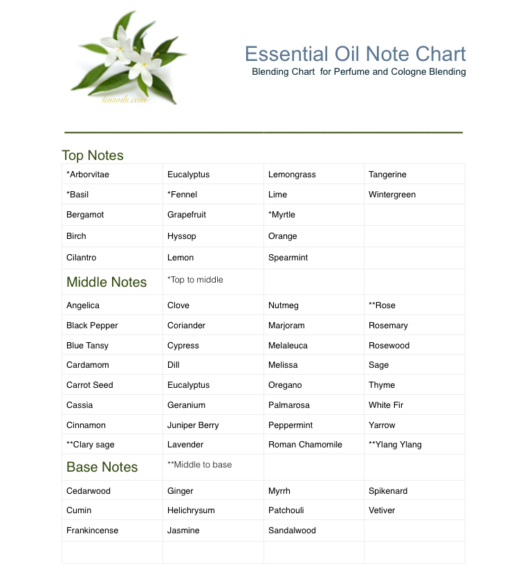 Perfume Notes Chart