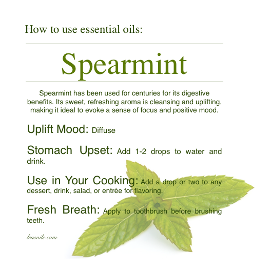 How to Use Spearmint Essential Oil