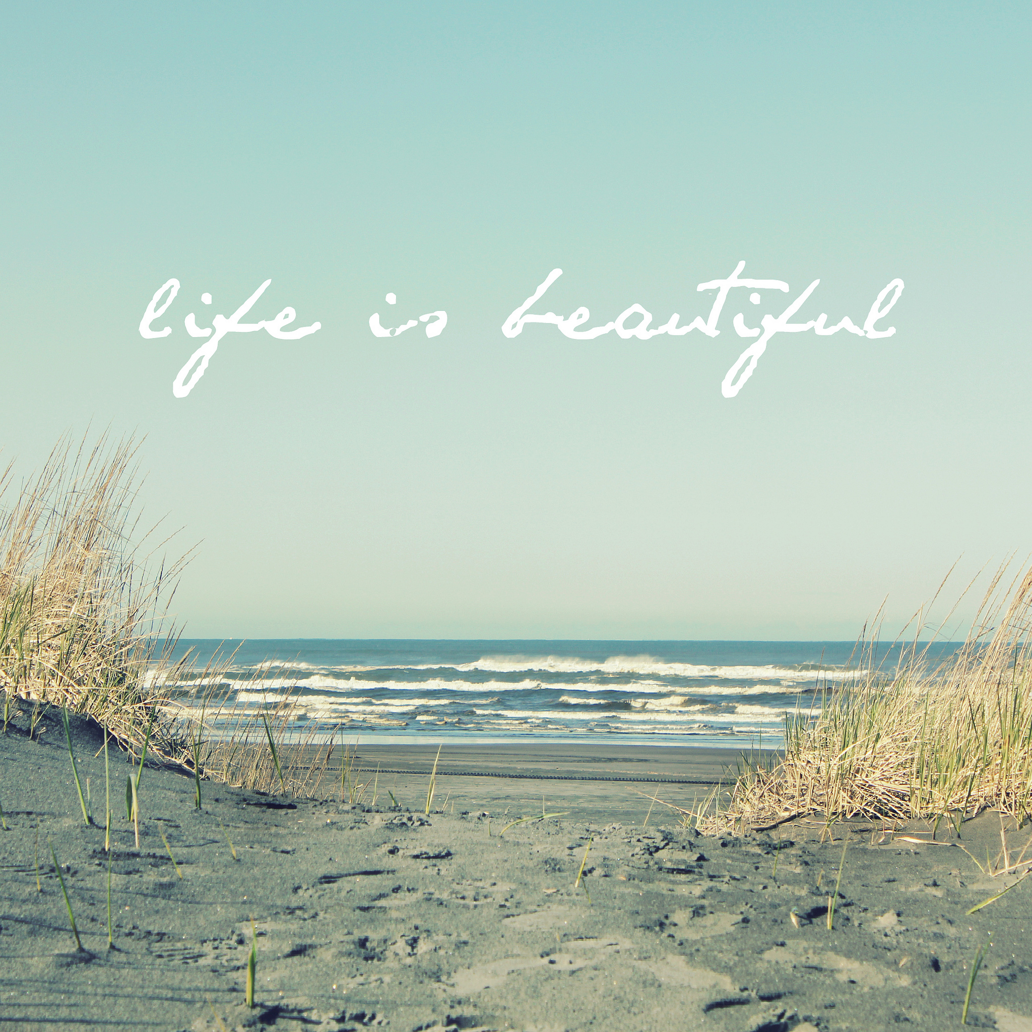 Life is beauty