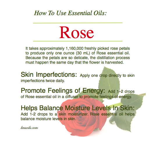 How to use rose essential oil.png